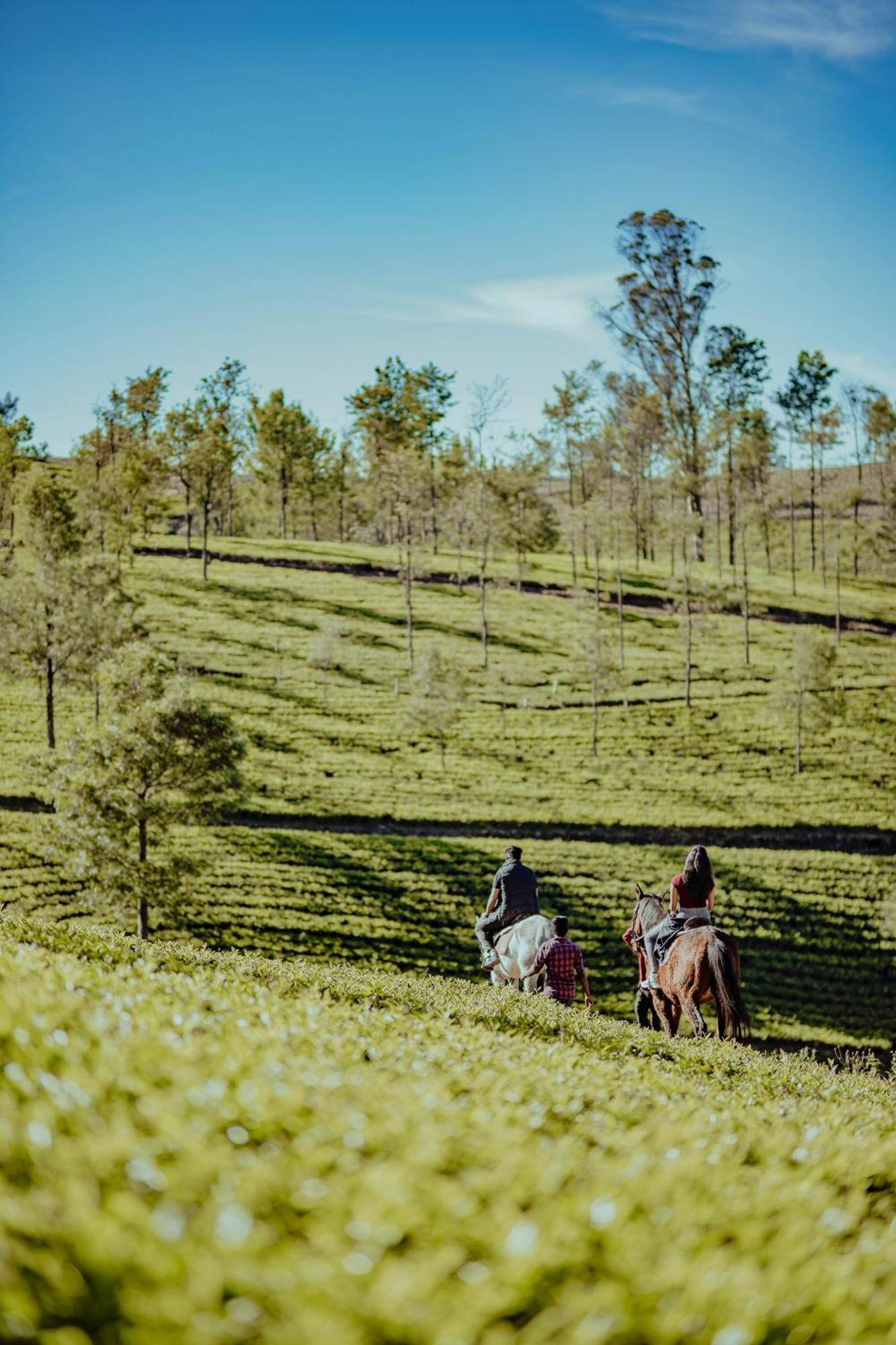 Green Nest Resort Ooty Kotagiri Ngoại thất bức ảnh