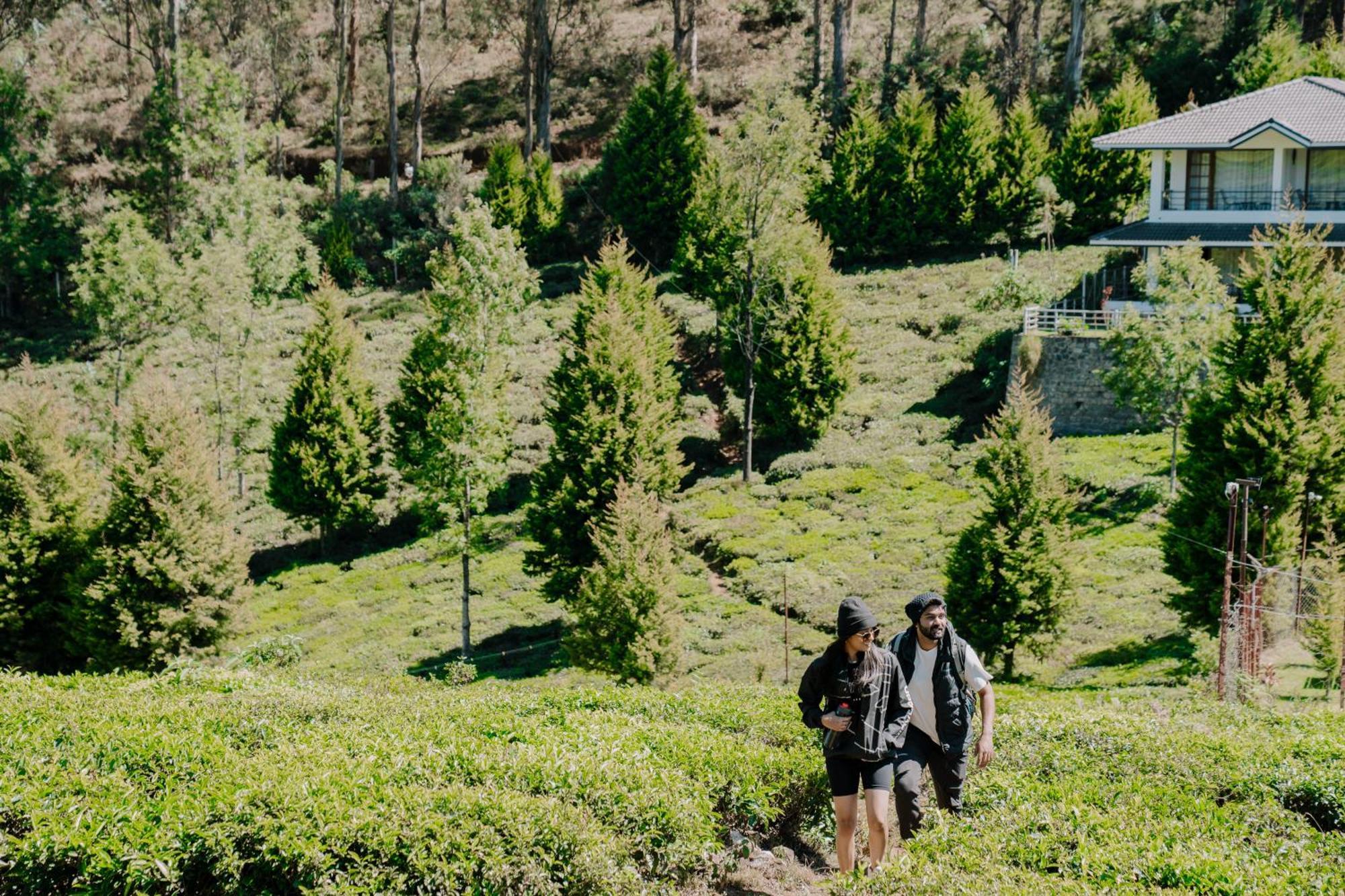 Green Nest Resort Ooty Kotagiri Ngoại thất bức ảnh