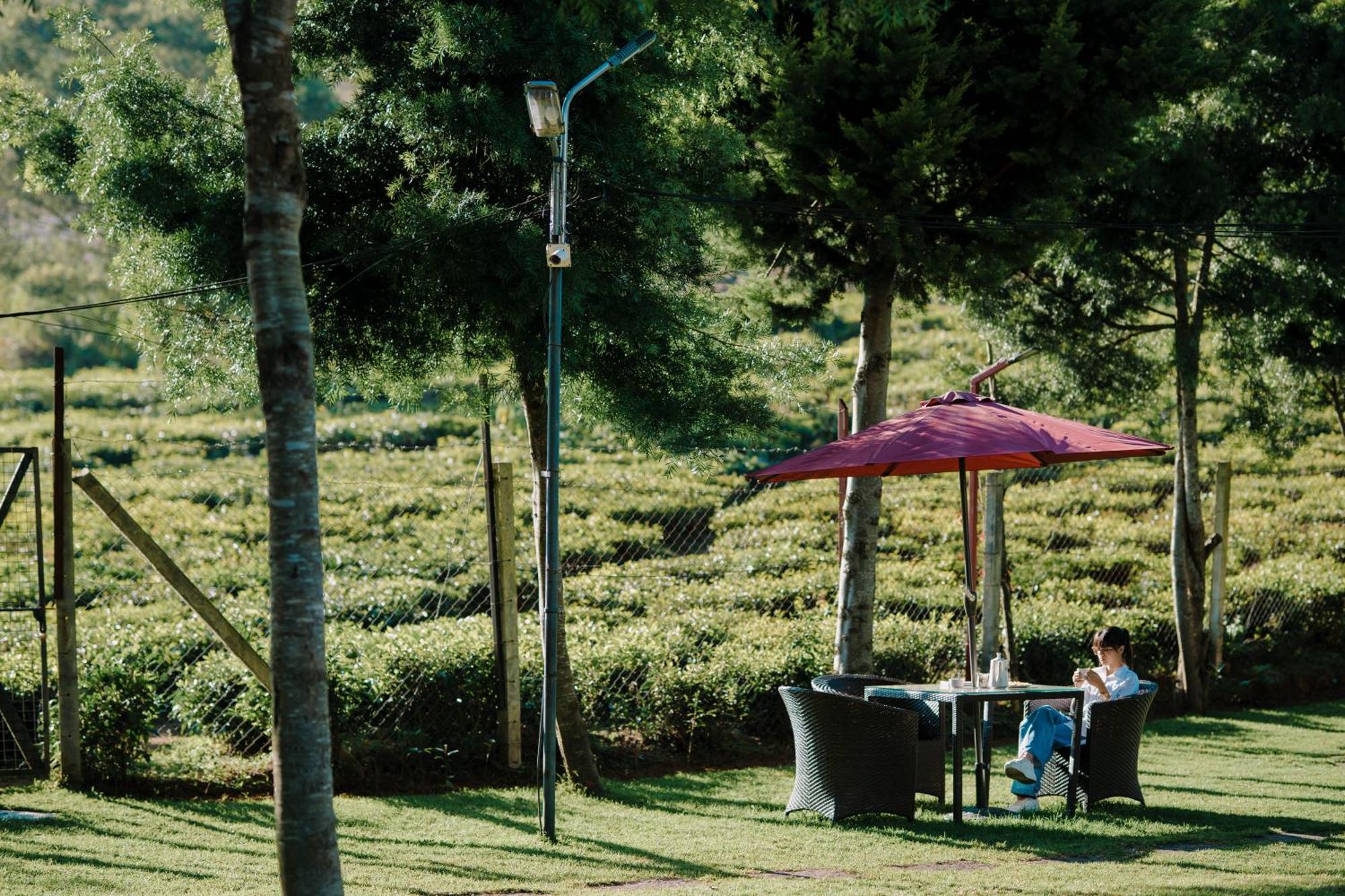 Green Nest Resort Ooty Kotagiri Ngoại thất bức ảnh
